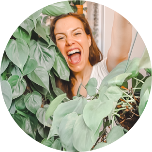 Autumn vegetable garden with A Tripeirinha