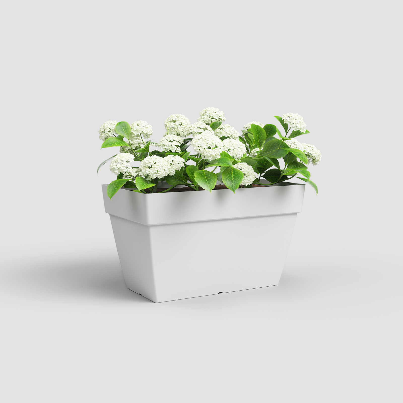 capri xl plant box