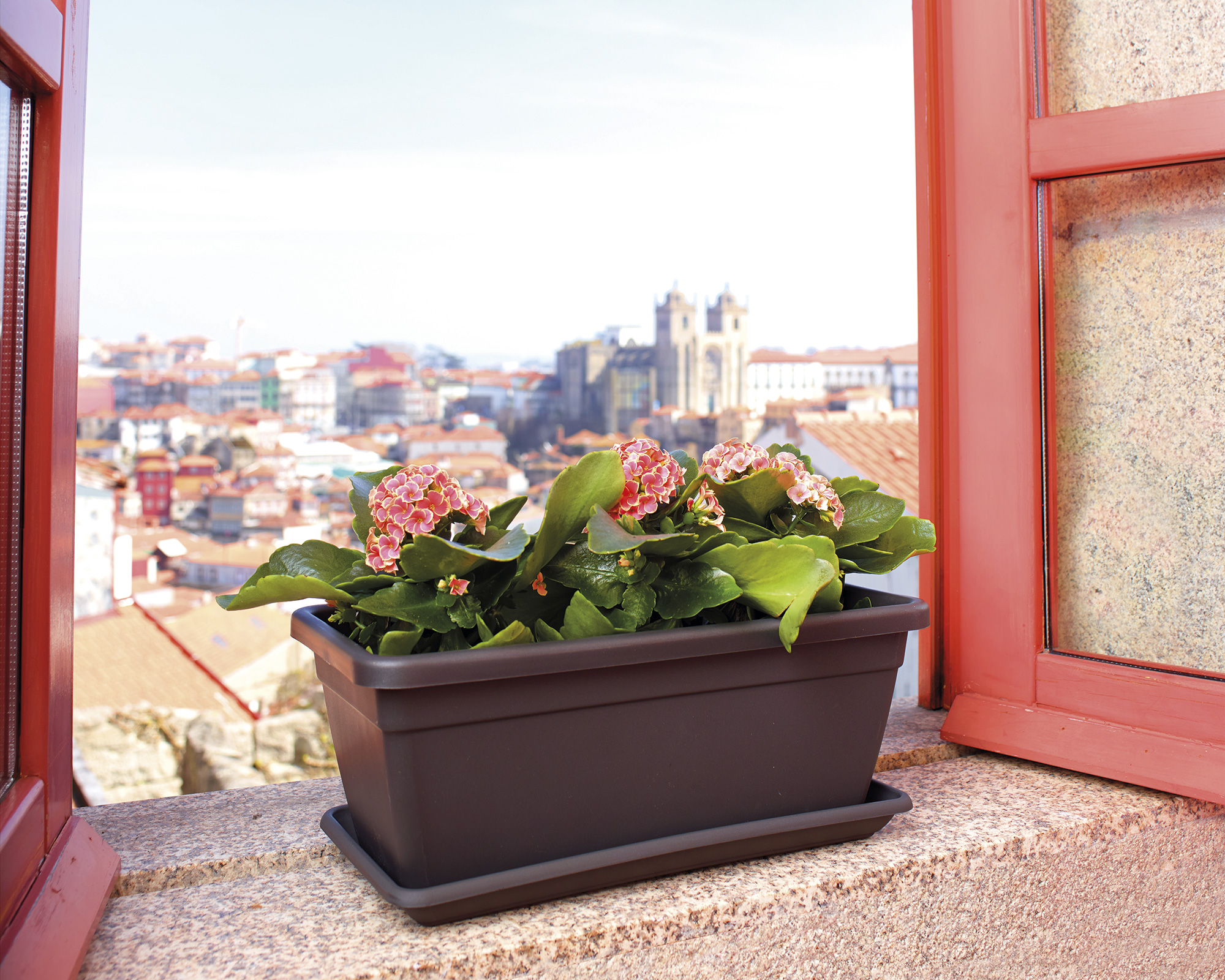 venezia plant box