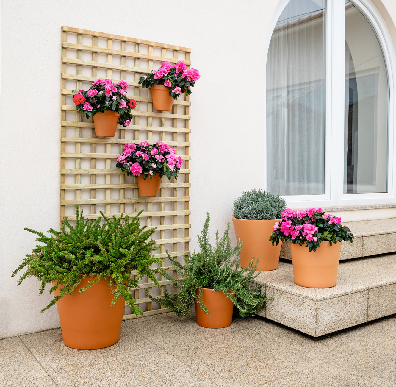 Amália Wall Pot