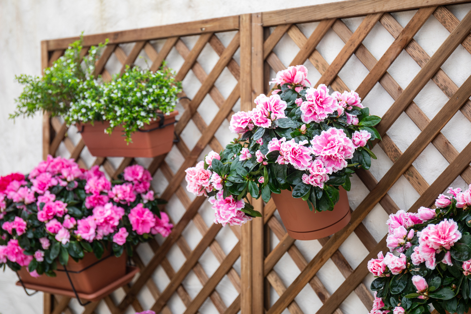 Venezia Balcony Pot Water Reserve Kit