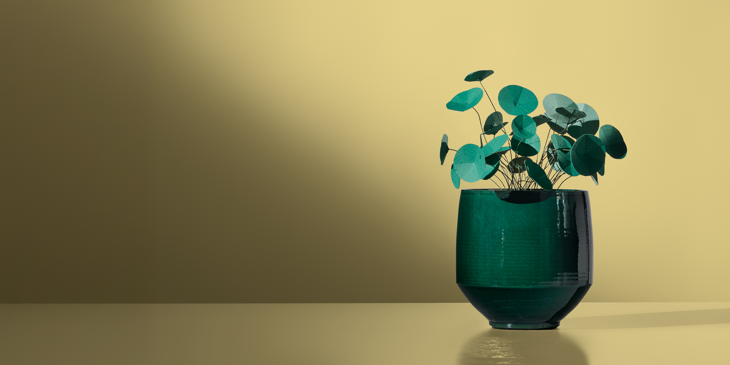 Novo ano, nova decoração